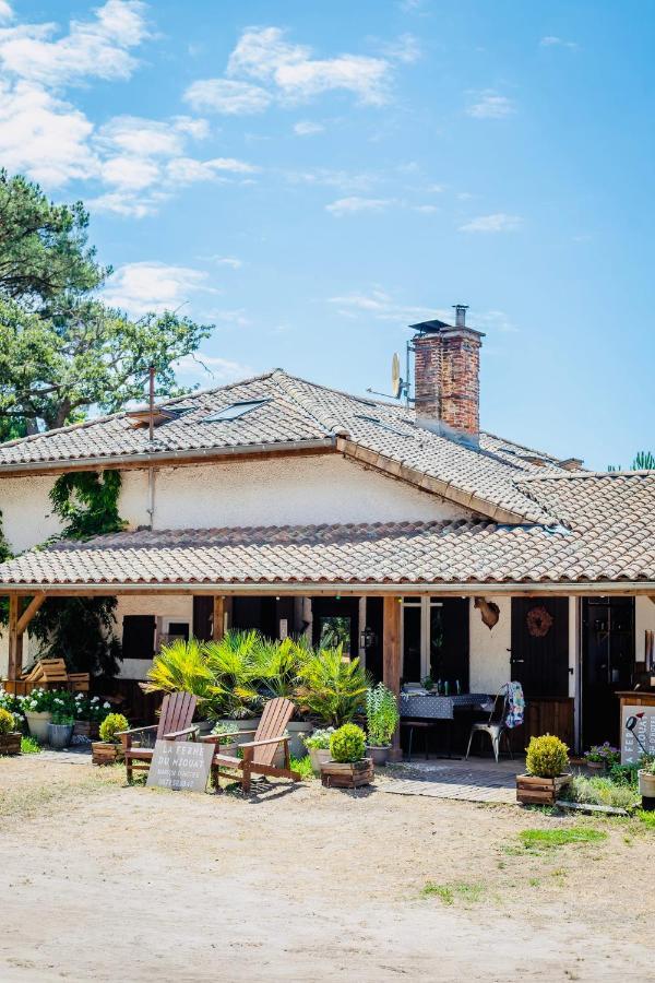 La Ferme Du Miouat Hotel Сен-Жулиен-ан-Борн Екстериор снимка