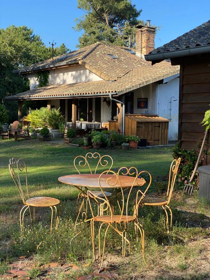 La Ferme Du Miouat Hotel Сен-Жулиен-ан-Борн Екстериор снимка