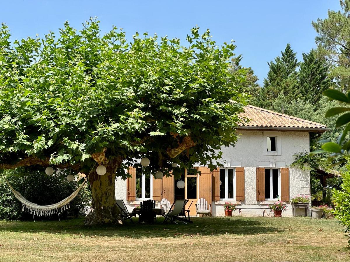 La Ferme Du Miouat Hotel Сен-Жулиен-ан-Борн Екстериор снимка